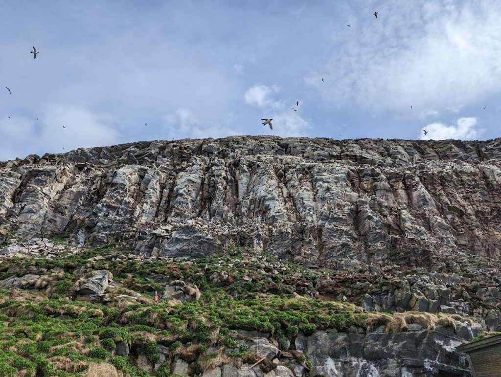 pxl 20230526 101745167